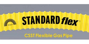 Standard Flex Logo